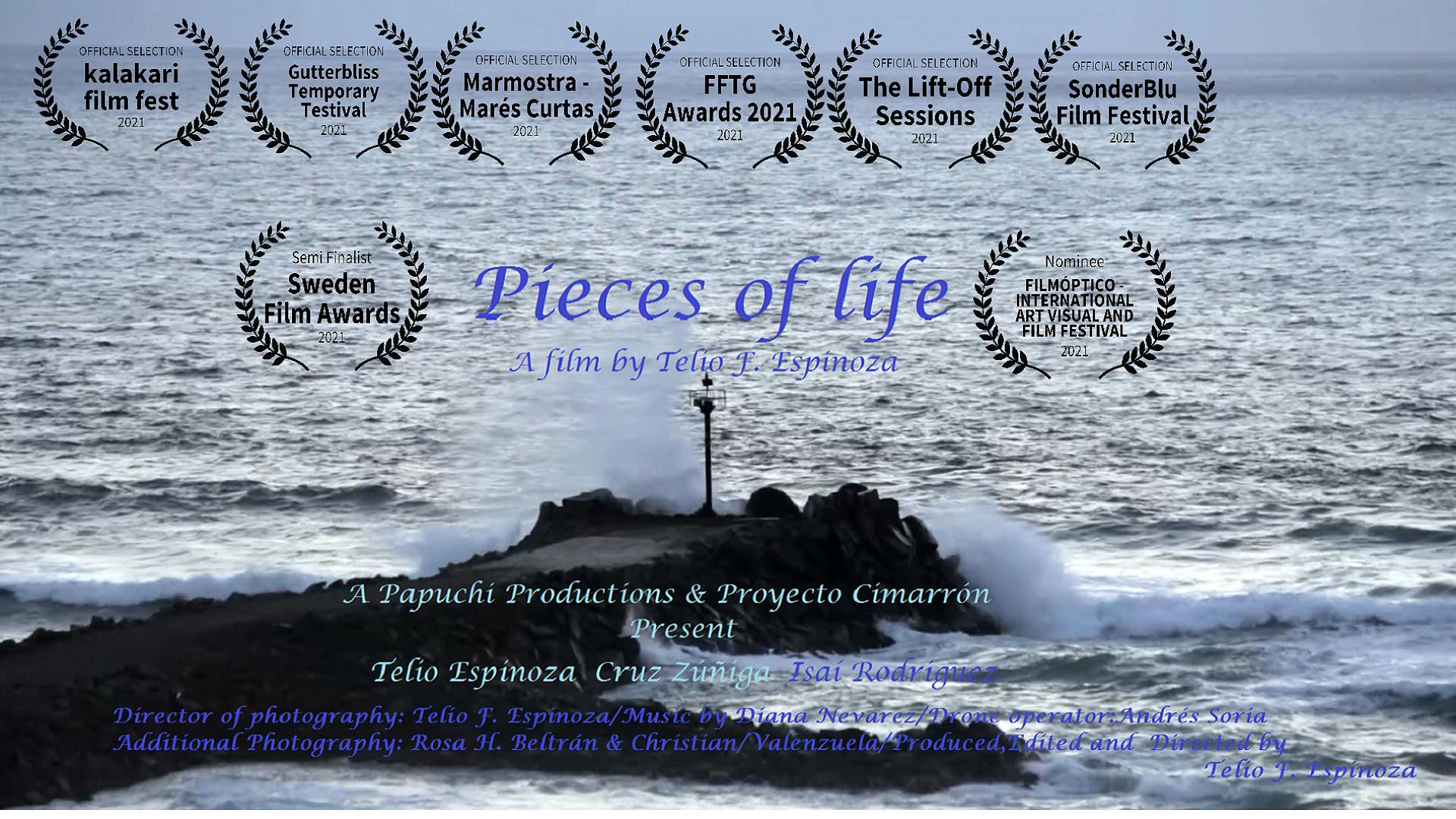 Pieces of life